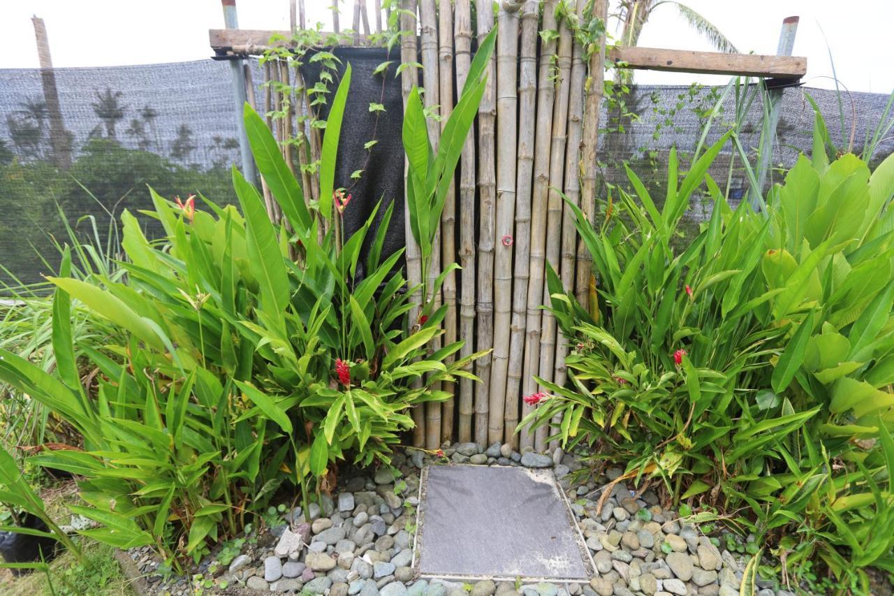 Lafinca Hostel Siargao San Isidro  외부 사진
